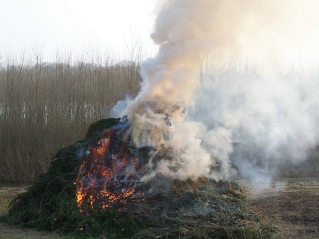 carnaval 2013 bis (223).jpg